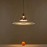 Creative Design Living room dinner room Drop suspended light