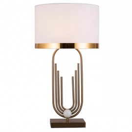 Modern LED Table Lamp (66)