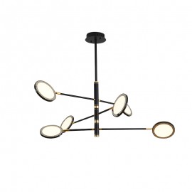 Iron Chandelier Lamp (11)