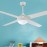 Luxury Modern Decorative Minimalism Fan Light