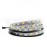 RGB and Cool white warm White 5050 LED Strip Light